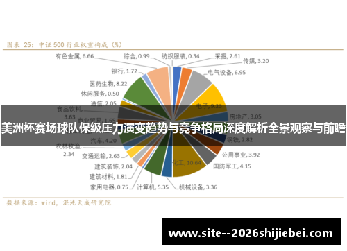 美洲杯赛场球队保级压力演变趋势与竞争格局深度解析全景观察与前瞻